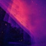 One Primary Purpose of the European Union Is to Promote Unity